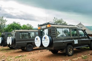 From Arusha: 2-Day Safari Through Tarangire and Lake Manyara