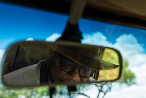 From Arusha: 2-Day Safari Through Tarangire and Lake Manyara