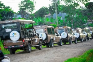 Z Arushy: 2-dniowe safari w Tarangire i kraterze Ngorongoro