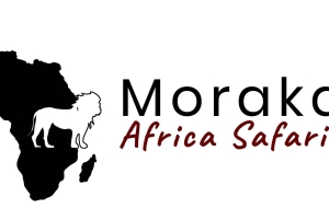 Vanuit Arusha: 2-daagse safari naar Tarangire en Ngorongoro