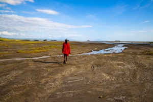 From Arusha: 3-Day Game Drive Tarangire & Ngorongoro Crater