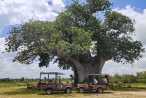 Van Arusha: driedaagse safari in Tarangire en het magische Lake Natron
