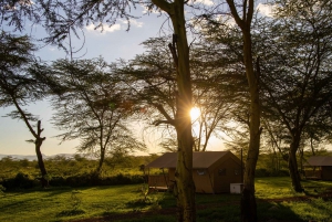 Au départ d'Arusha : Safari de 3 jours dans le Tarangire et le magique lac Natron.