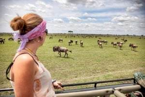 Fra Arusha: 3-dagers Tarangire, Ngorongoro og Manyara Safari