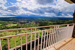 Au départ d'Arusha : Safari de 3 jours à Tarangire, Ngorongoro et Manyara