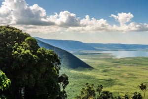 Au départ d'Arusha : Safari de 3 jours à Tarangire, Ngorongoro et Manyara
