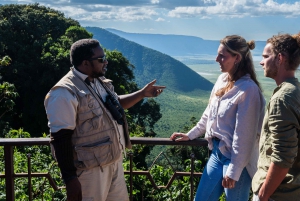 Au départ d'Arusha : Safari de 3 jours à Tarangire, Ngorongoro et Manyara