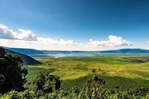 Au départ d'Arusha : Safari de 3 jours à Tarangire, Ngorongoro et Manyara