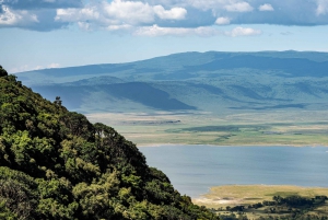 Au départ d'Arusha : Safari de 3 jours à Tarangire, Ngorongoro et Manyara