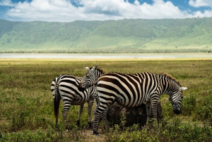 Au départ d'Arusha : Safari de 3 jours à Tarangire, Ngorongoro et Manyara