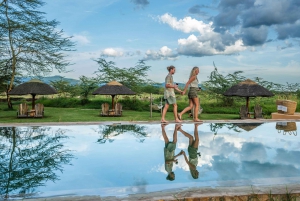 Au départ d'Arusha : Safari de 3 jours à Tarangire, Ngorongoro et Manyara