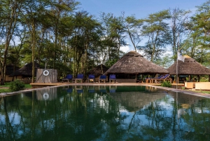 Au départ d'Arusha : Safari de 3 jours à Tarangire, Ngorongoro et Manyara