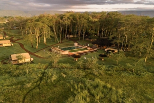 Au départ d'Arusha : Safari de 3 jours à Tarangire, Ngorongoro et Manyara