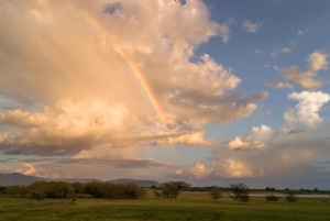 Au départ d'Arusha : Safari de 3 jours à Tarangire, Ngorongoro et Manyara
