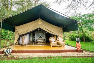 Au départ d'Arusha : Safari de 3 jours à Tarangire, Ngorongoro et Manyara