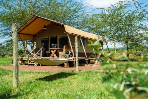 Au départ d'Arusha : Safari de 3 jours à Tarangire, Ngorongoro et Manyara