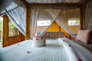 Au départ d'Arusha : Safari de 3 jours à Tarangire, Ngorongoro et Manyara