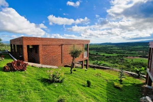 Au départ d'Arusha : Safari de 3 jours à Tarangire, Ngorongoro et Manyara