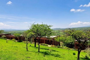 Au départ d'Arusha : Safari de 3 jours à Tarangire, Ngorongoro et Manyara