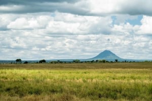 Au départ d'Arusha : Safari de 3 jours à Tarangire, Ngorongoro et Manyara