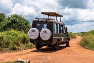 Au départ d'Arusha : Safari de 3 jours à Tarangire, Ngorongoro et Manyara