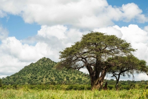 Au départ d'Arusha : Safari de 3 jours à Tarangire, Ngorongoro et Manyara