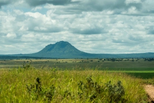 Au départ d'Arusha : Safari de 3 jours à Tarangire, Ngorongoro et Manyara