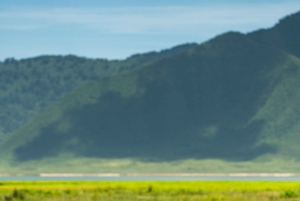 Au départ d'Arusha : Safari de 3 jours à Tarangire, Ngorongoro et Manyara