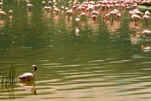 Au départ d'Arusha : Safari de 3 jours à Tarangire, Ngorongoro et Manyara