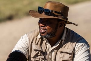 Au départ d'Arusha : Safari de 3 jours à Tarangire, Ngorongoro et Manyara