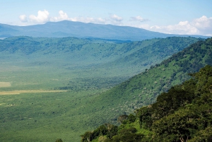 Au départ d'Arusha : Safari de 3 jours à Tarangire, Ngorongoro et Manyara