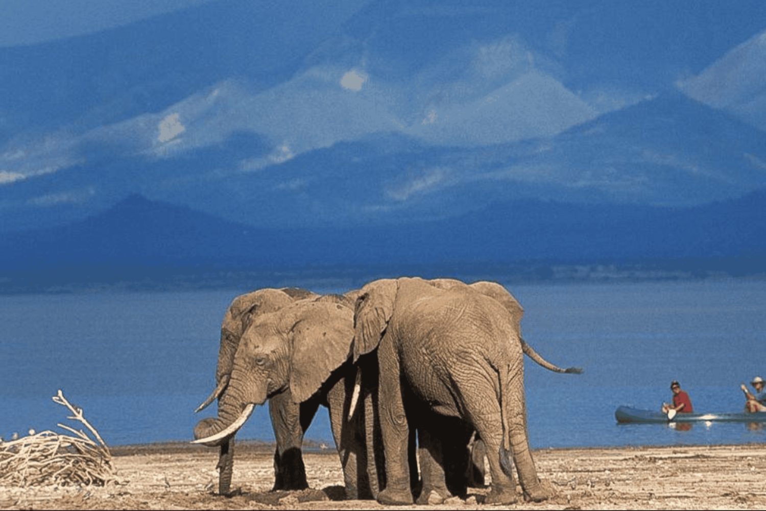 Arushasta: 4 päivän Rift Valley -safari majoituksella