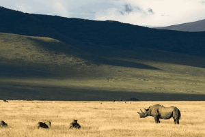 Från Arusha: 4-dagars safari i Rift Valley med logi