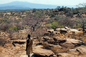 Från Arusha: 4-dagars safari i Rift Valley med logi
