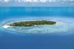 Au départ d'Arusha : circuit de 5 jours à Zanzibar avec plongée avec tuba