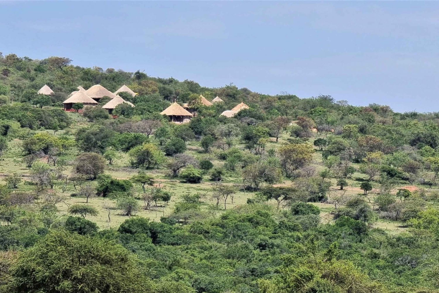 From Arusha: 6 Day Private Safari Eastern Great Rift Valley