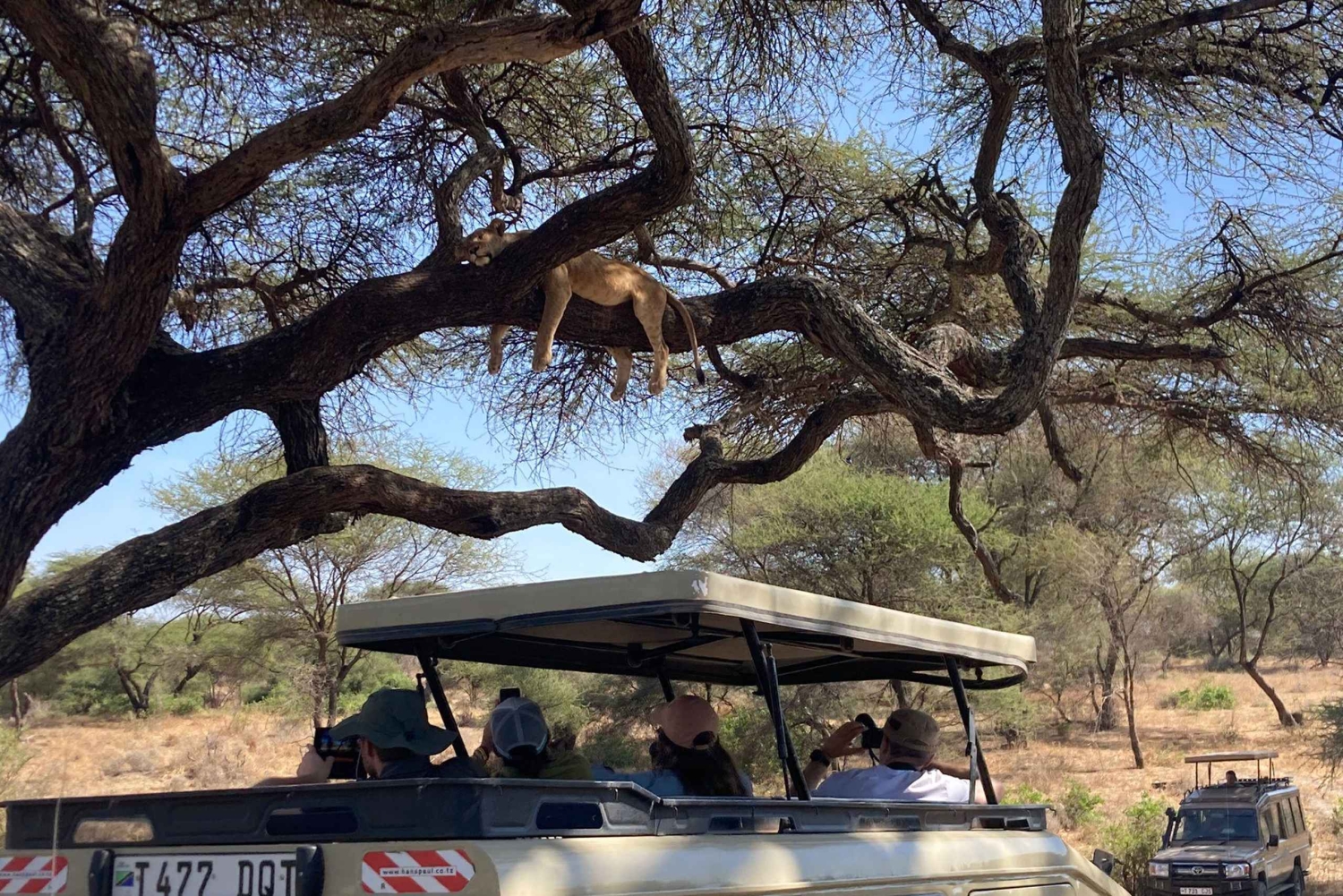 From Arusha: 6-Day Wildebeest Migration Safari