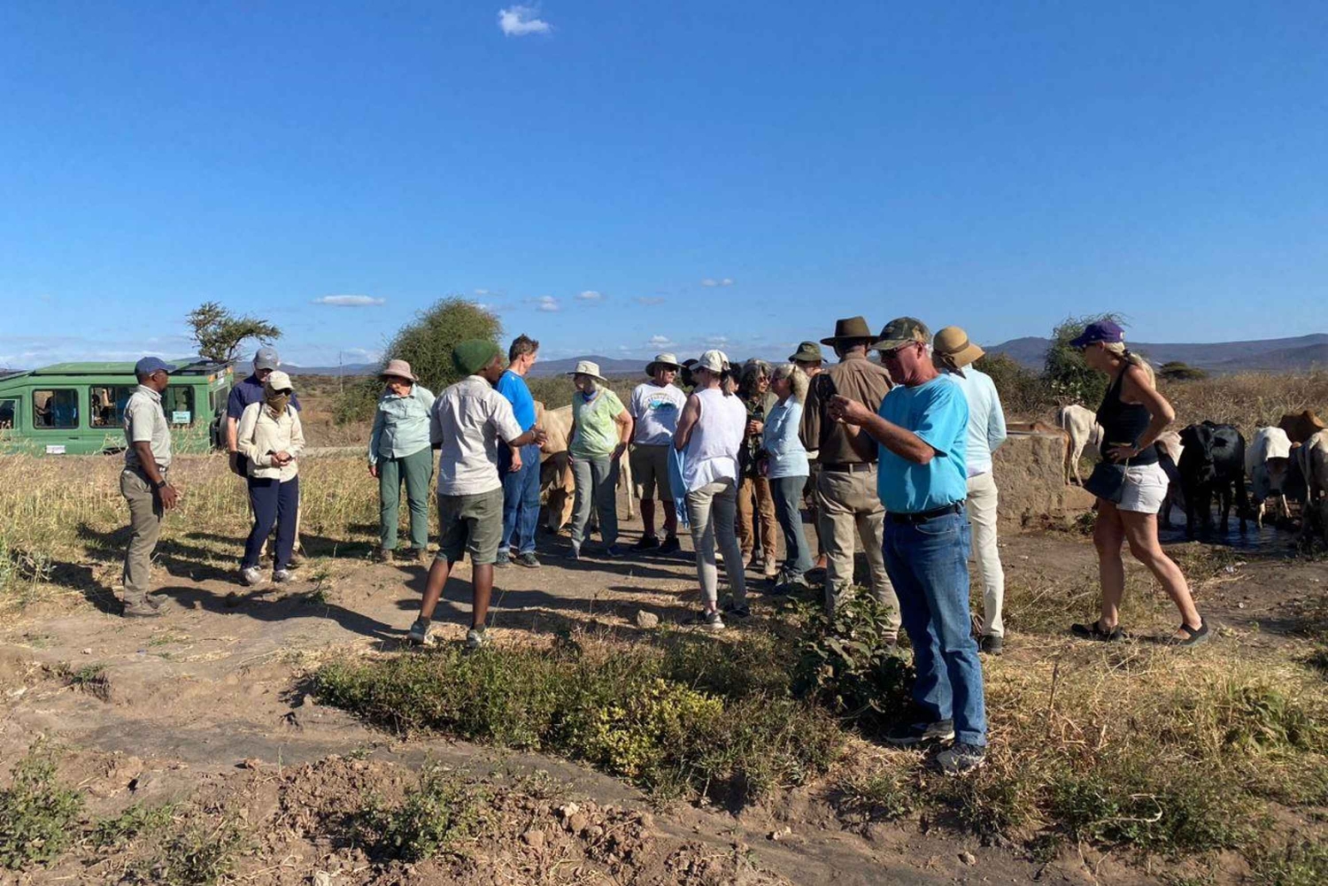 From Arusha: 6-Day Wildebeest Migration Safari