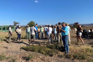 From Arusha: 6-Day Wildebeest Migration Safari