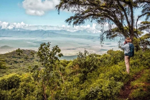 From Arusha: 7-Day Big 5 Safari with Accommodation