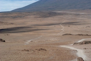 Из Аруши: 7-дневный маршрут Килиманджаро-Ронгай с гидом