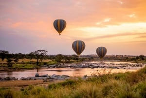 Desde Arusha: Safari de 7 días por el norte de Tanzania