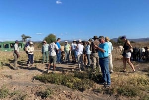 Arushasta: 8 päivän villieläin- ja kulttuurisafari