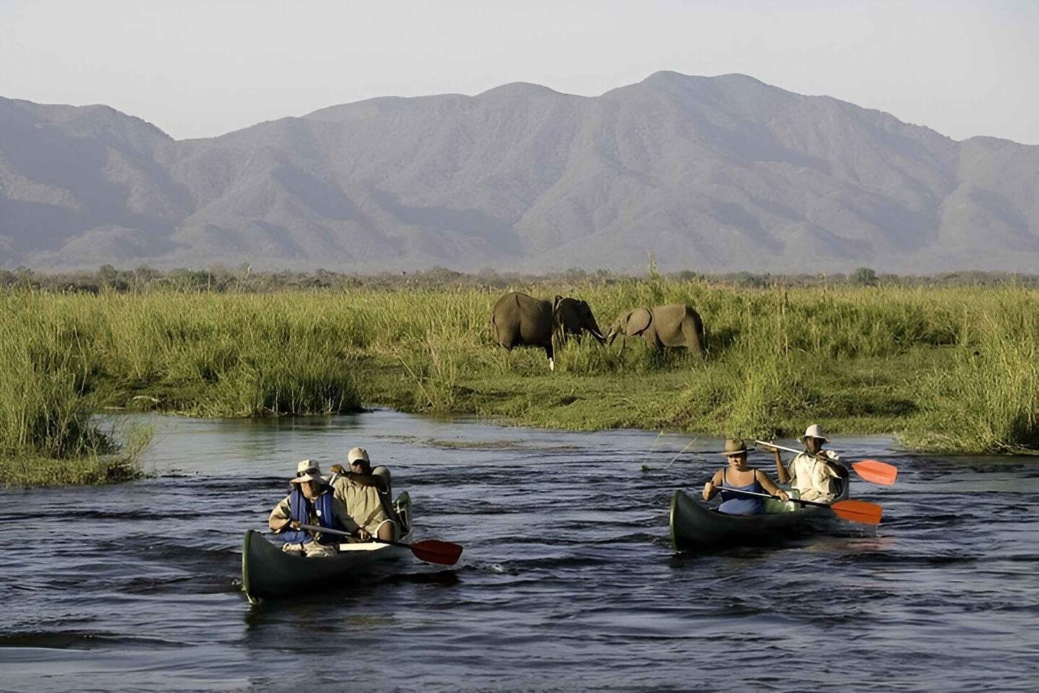 Depuis Arusha : Excursion d'une journée dans le parc national d'Arusha