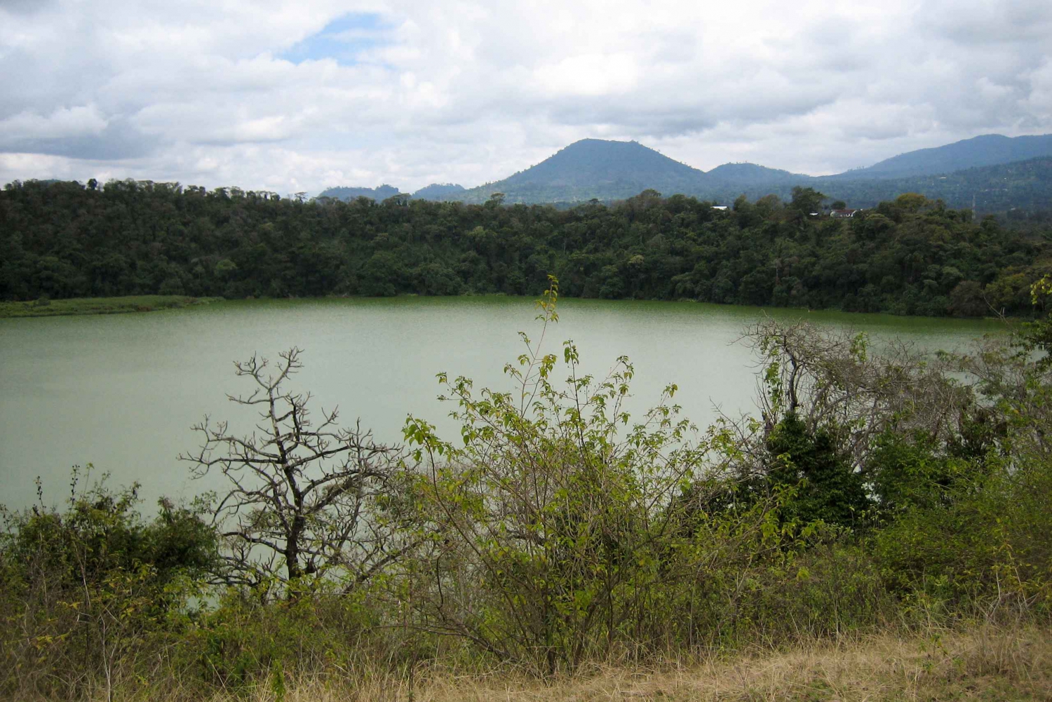 From Arusha : Canoeing Lake Duluti Tour with transfer