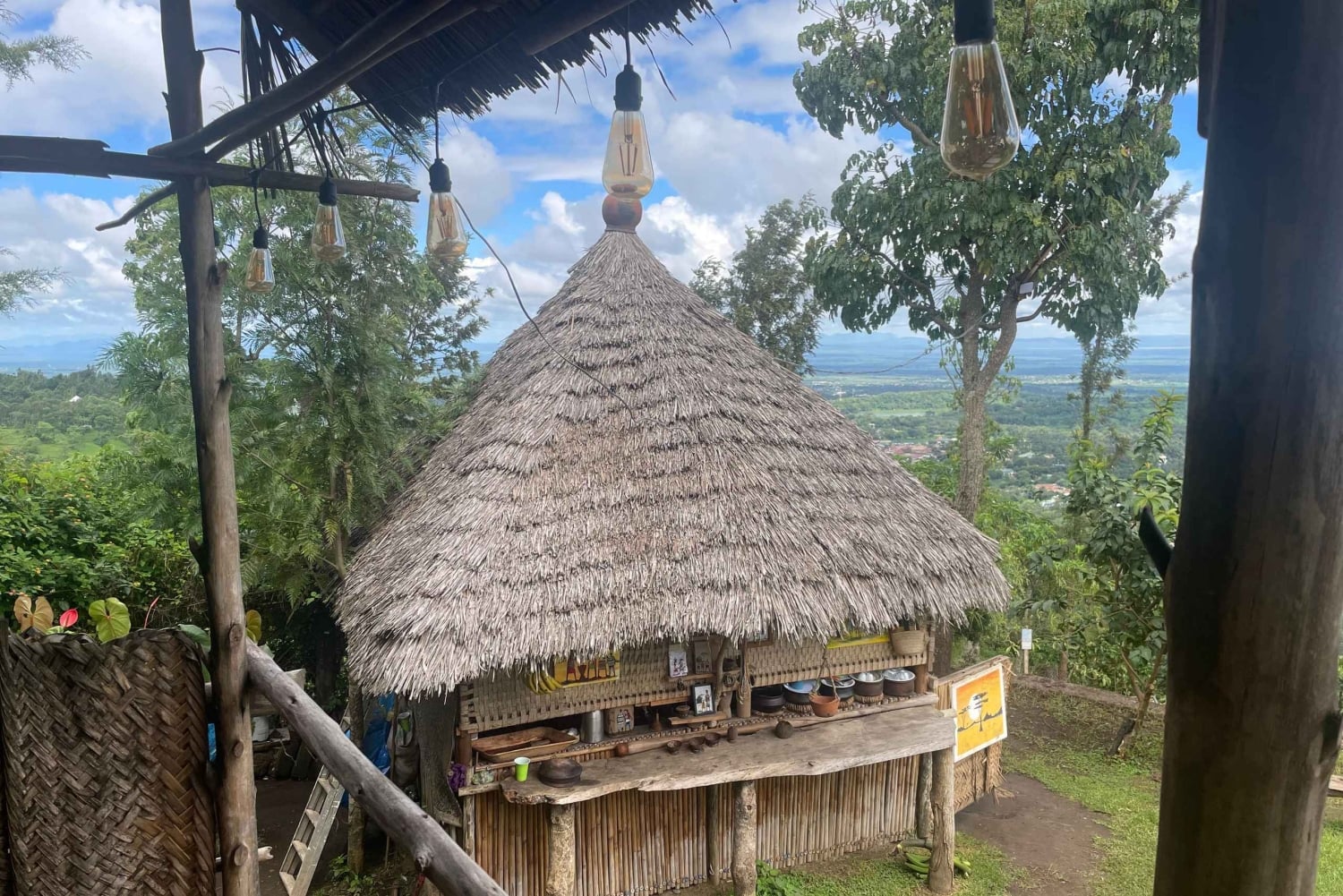 アルーシャ発：コーヒー農園とマンガリアの滝ツアー
