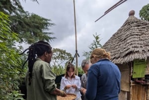 From Arusha: Coffee Farm and Mangalia Waterfalls Tour