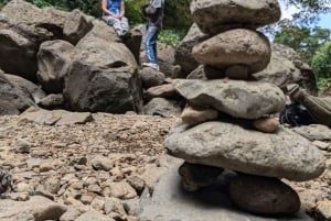 From Arusha: Coffee Farm and Mangalia Waterfalls Tour