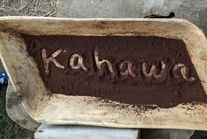 From Arusha: Coffee Farm and Mangalia Waterfalls Tour