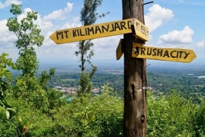 From Arusha: Coffee Farm and Mangalia Waterfalls Tour